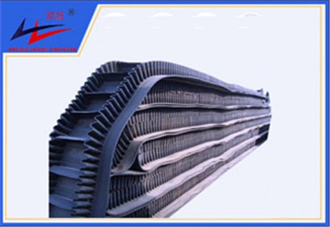 bevictor伟德-波状挡边运送带