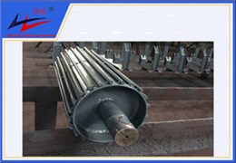 bevictor伟德-鼠笼式滚筒