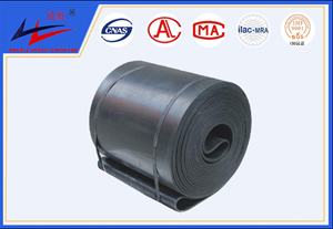 bevictor伟德-环形运送带