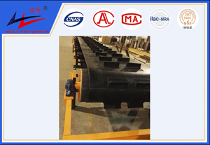 bevictor伟德-横隔板式运送机