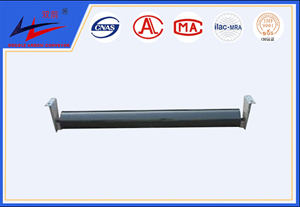 bevictor伟德-平行托辊组