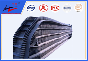 bevictor伟德-波状挡边运送带