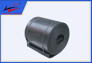 bevictor伟德-环形运送带